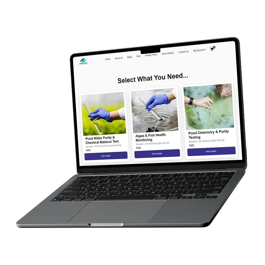 Expert Help On-Demand